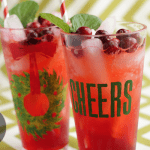 Cranberry Mint Holiday Punch